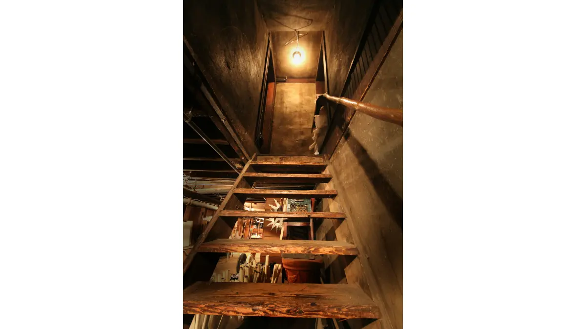 Attic mold removal warning showing dark attic staircase and enclosed attic space