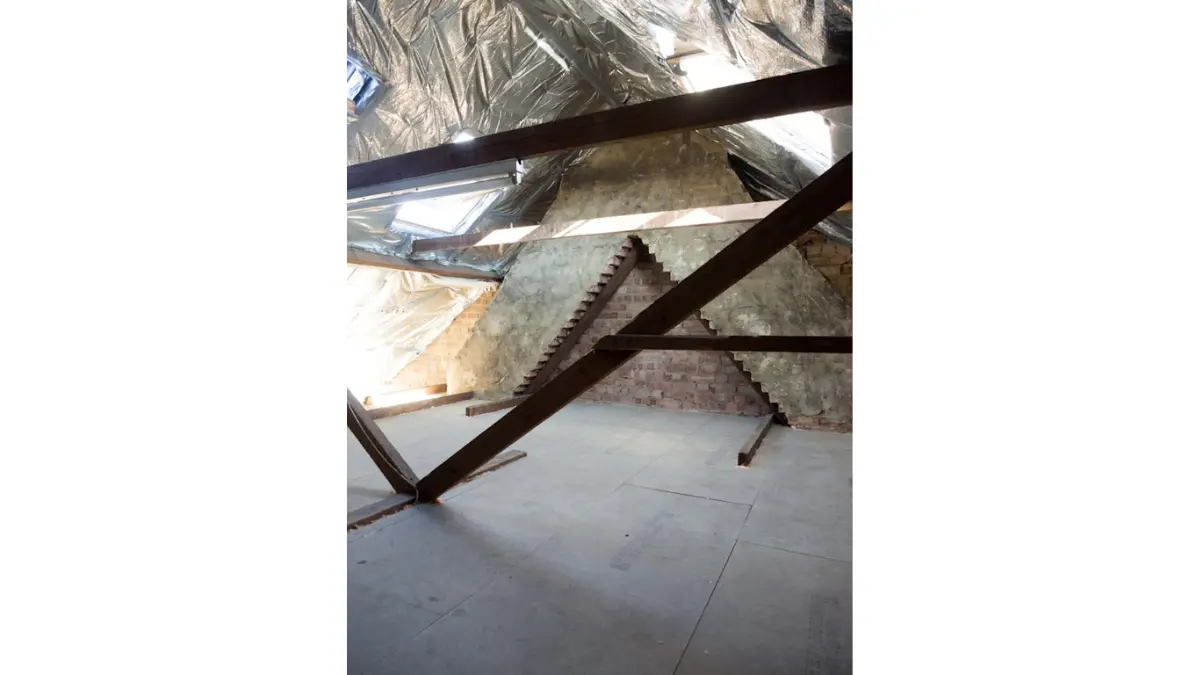 Attic mold removal inspection showing attic insulation and ventilation framing