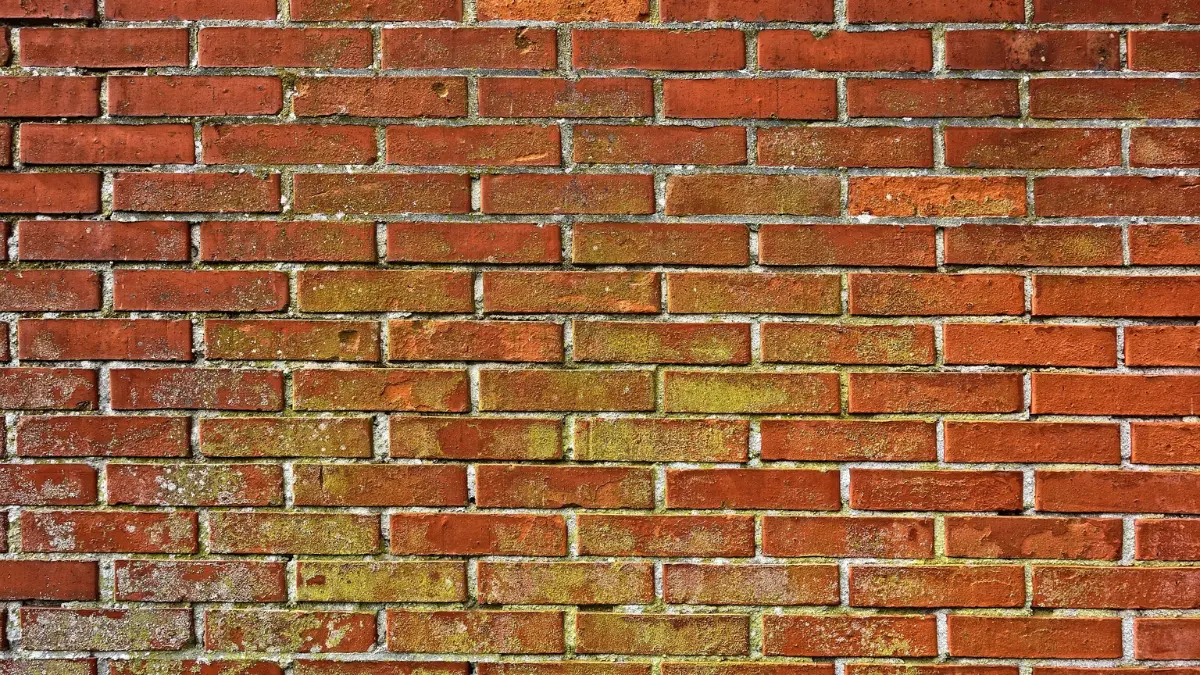 basement mold spreading across a damp green brick wall surface