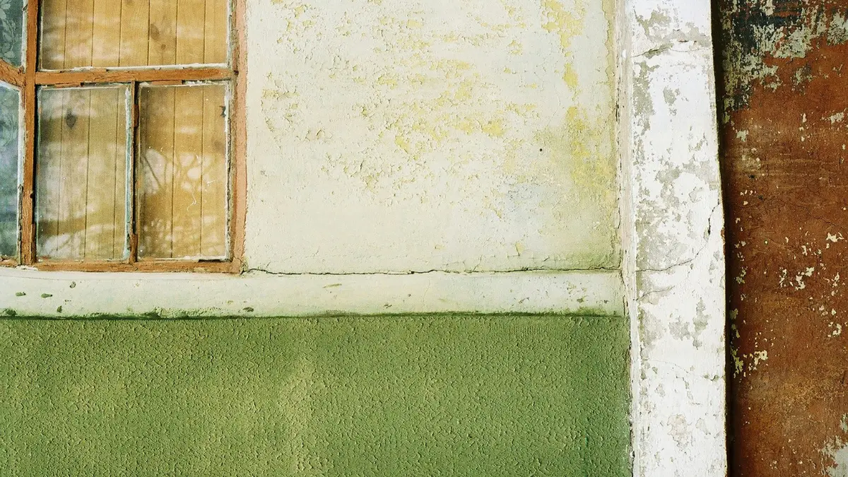 Bathroom interior showing mold damage near the skylight and sink, a common site of mold exposure during pregnancy.