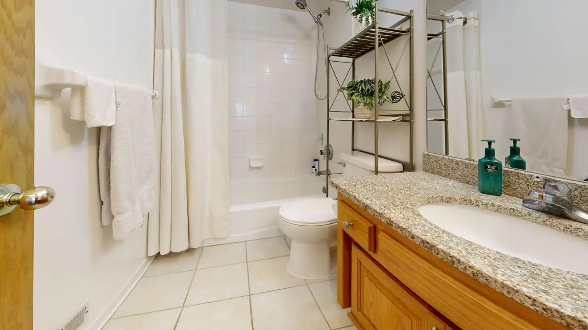 bathroom mold removal — clean well-maintained bathroom with dark stone tile, glass shower enclosure, and open window showing mold prevention results