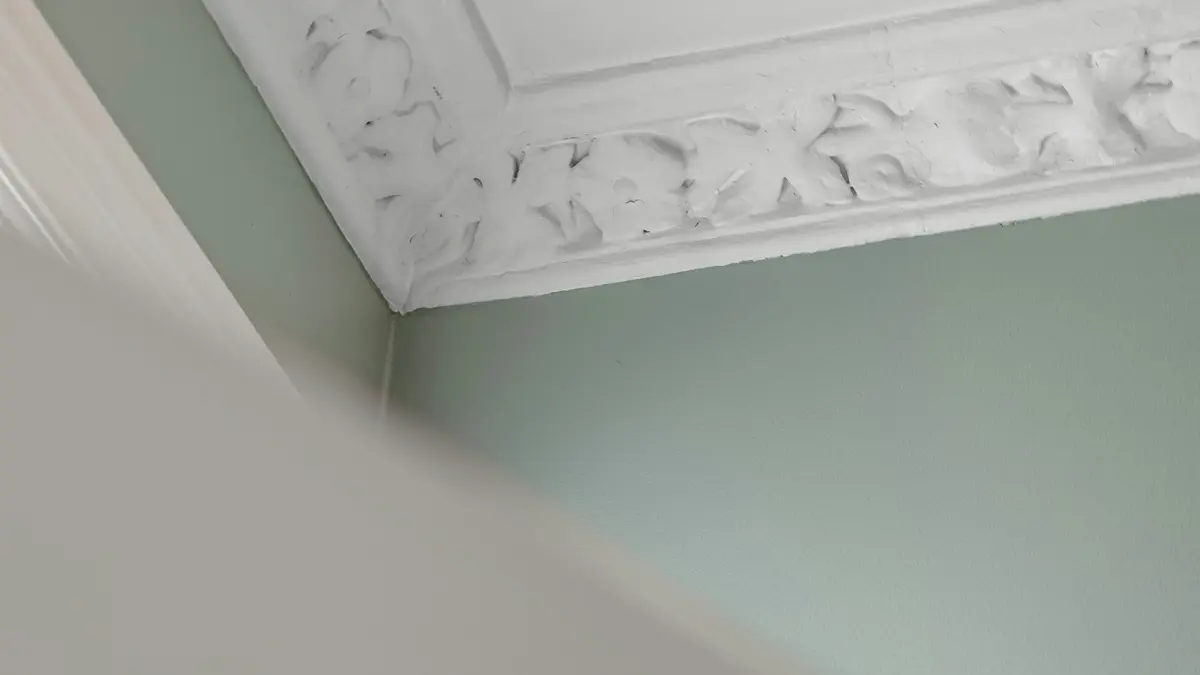 Black Mold Symptoms - Interior room with white ceiling showing potential mold inspection areas