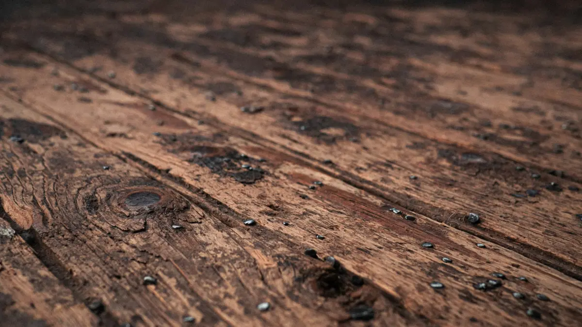 Crawl Space Mold Removal showing moisture-damaged wooden flooring