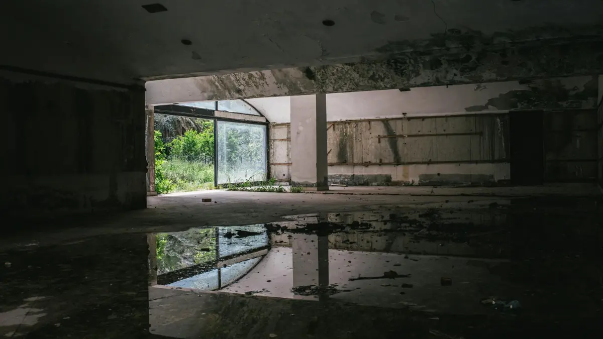 Crawl Space Mold Removal for a dark interior with visible mold contamination