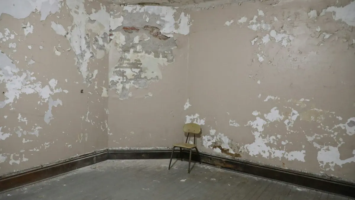 Drywall in a bright clean living room after mold removal