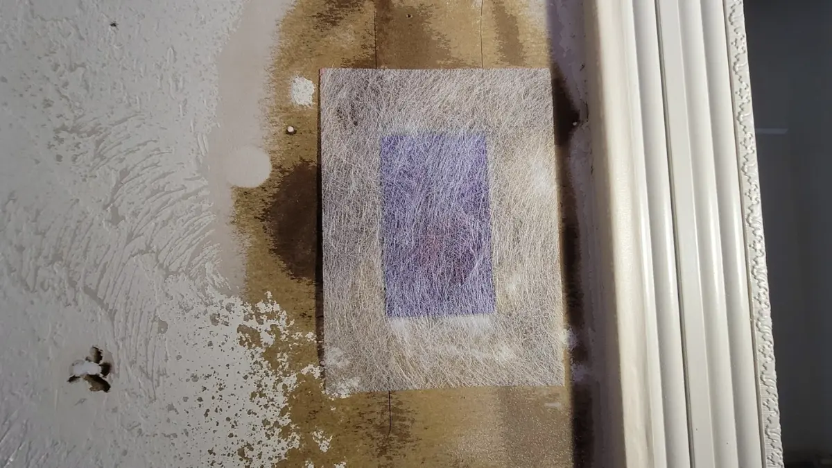 Drywall wall with light mold stains before cleaning