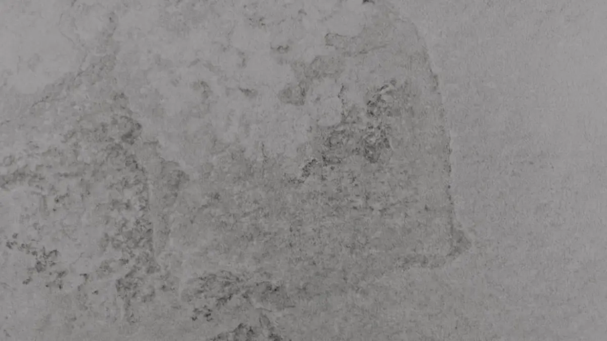 Drywall mold growing on a white interior wall close up
