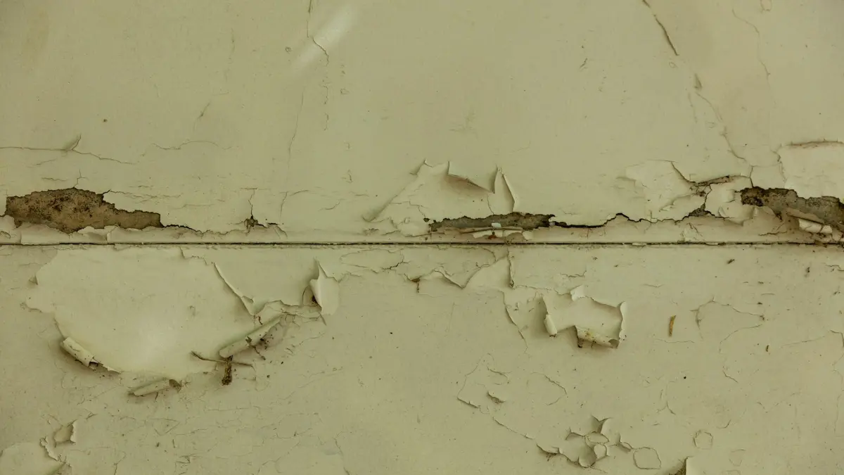 Landlord mold responsibility includes repairing moisture damage that causes paint to peel and crack on interior walls