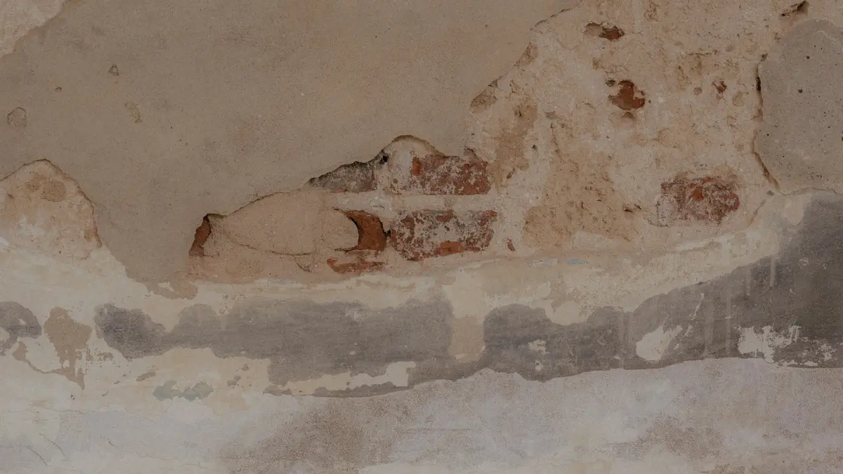 Child near mold-damaged peeling wall — mold remediation complete guide health risks for families