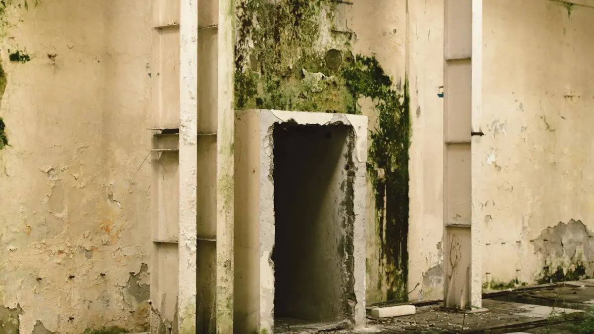 Does insurance cover mold remediation for severe black mold — extensive dark mold growth covering interior wall posing serious health risks