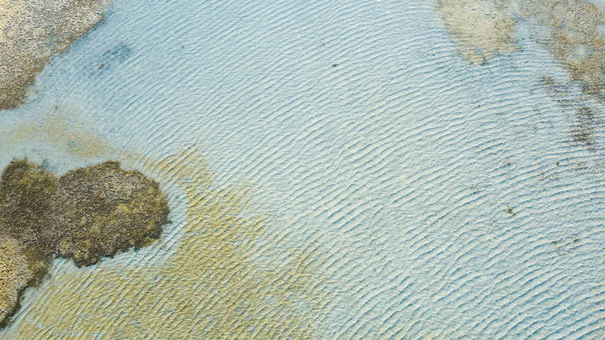 Professional worker scrubbing blue carpet with a stiff brush to remove mold in carpet during remediation.
