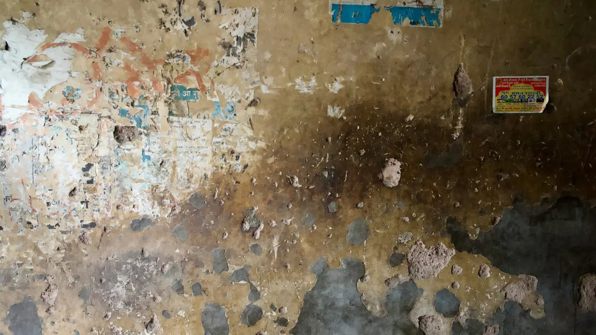 Damaged wall with peeling paint and moisture stains warning about recurring Mold on Concrete prevention needs.