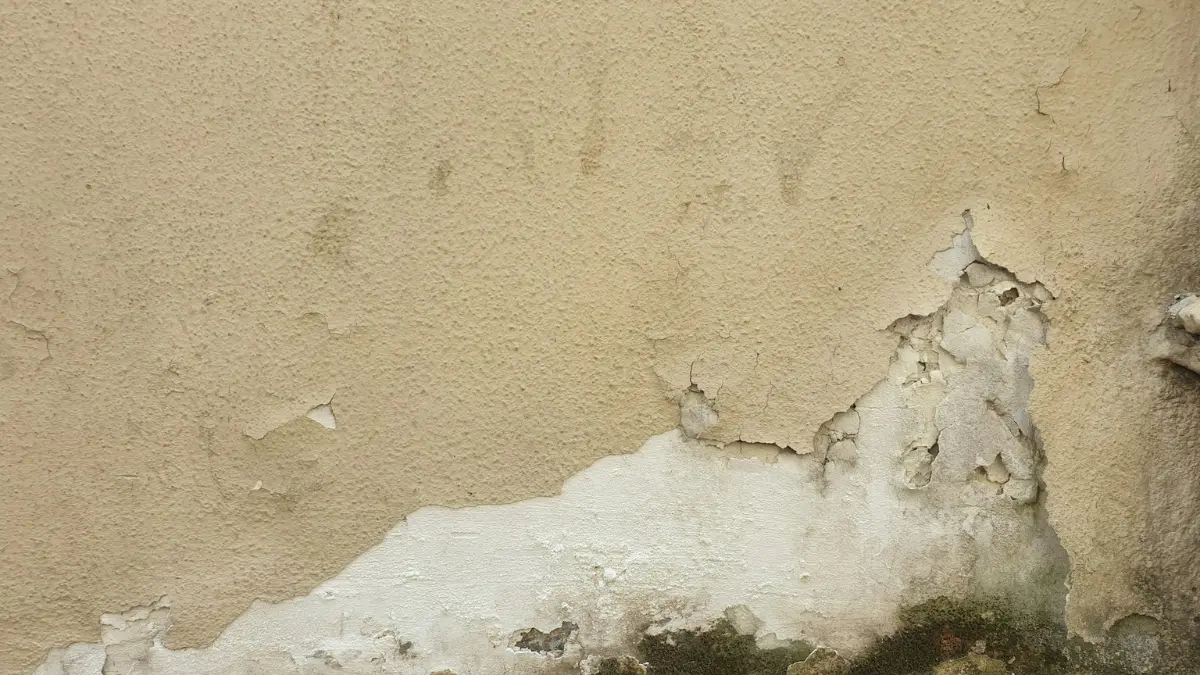 Brown textured Mold on Concrete wall used for visual identification of slab contamination versus efflorescence.