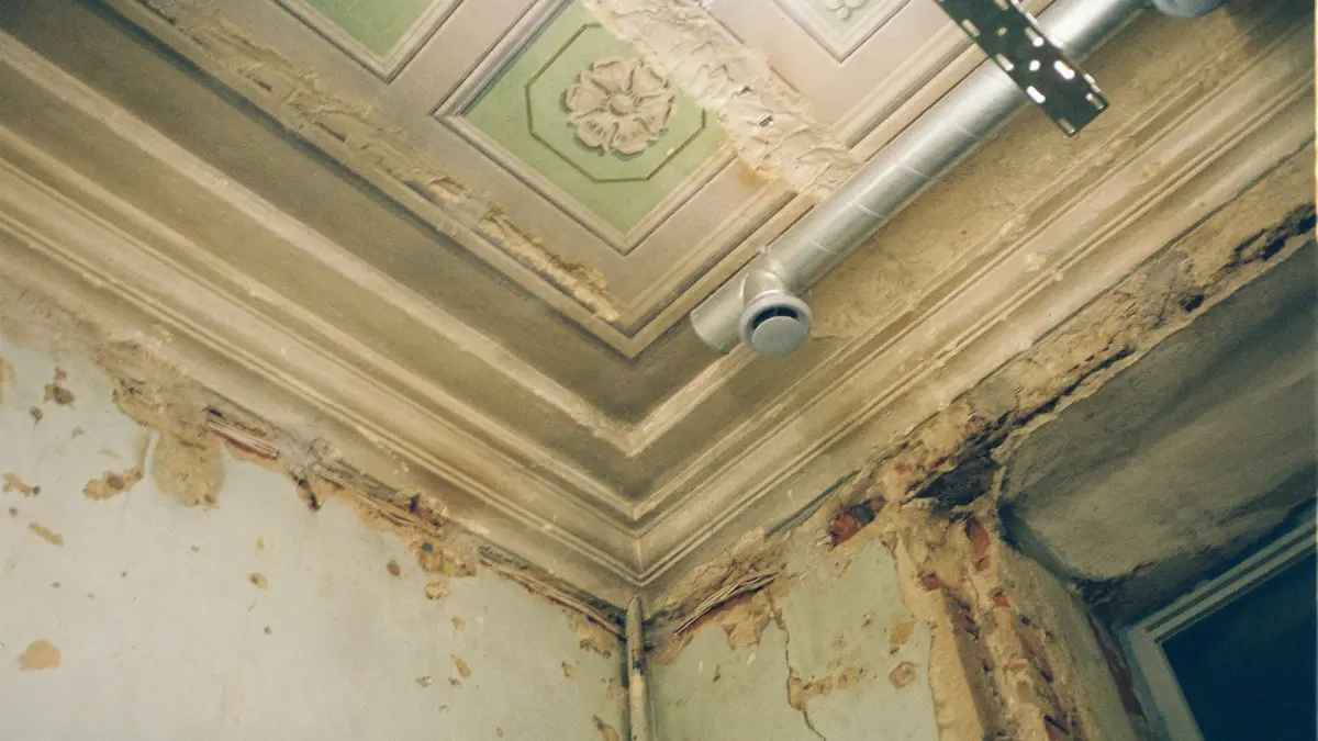 Water-damaged ceiling with peeling paint showing why mold remediation cost can reach $10,000 in severe home damage cases