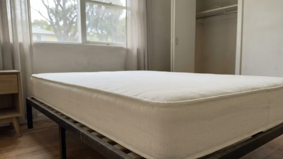 Bed Bugs Live Without Feeding for months inside vacant homes and empty bedrooms