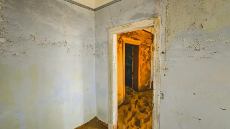Mold remediation before selling — empty home interior with visible wall damage and mold in a room prepared for real estate listing.