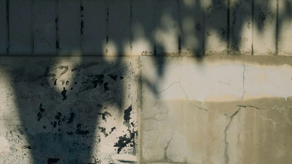 Post Mold Remediation wall inspection showing surface deterioration and areas that require visual verification